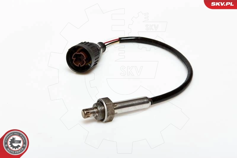 Oxygen Sensor
